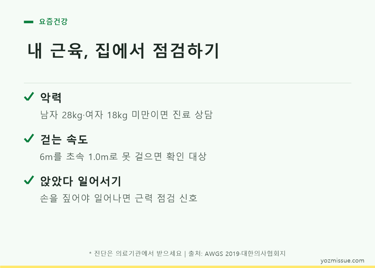 내 근육 집에서 점검하기 — 악력·보행속도·앉았다 일어서기 체크리스트