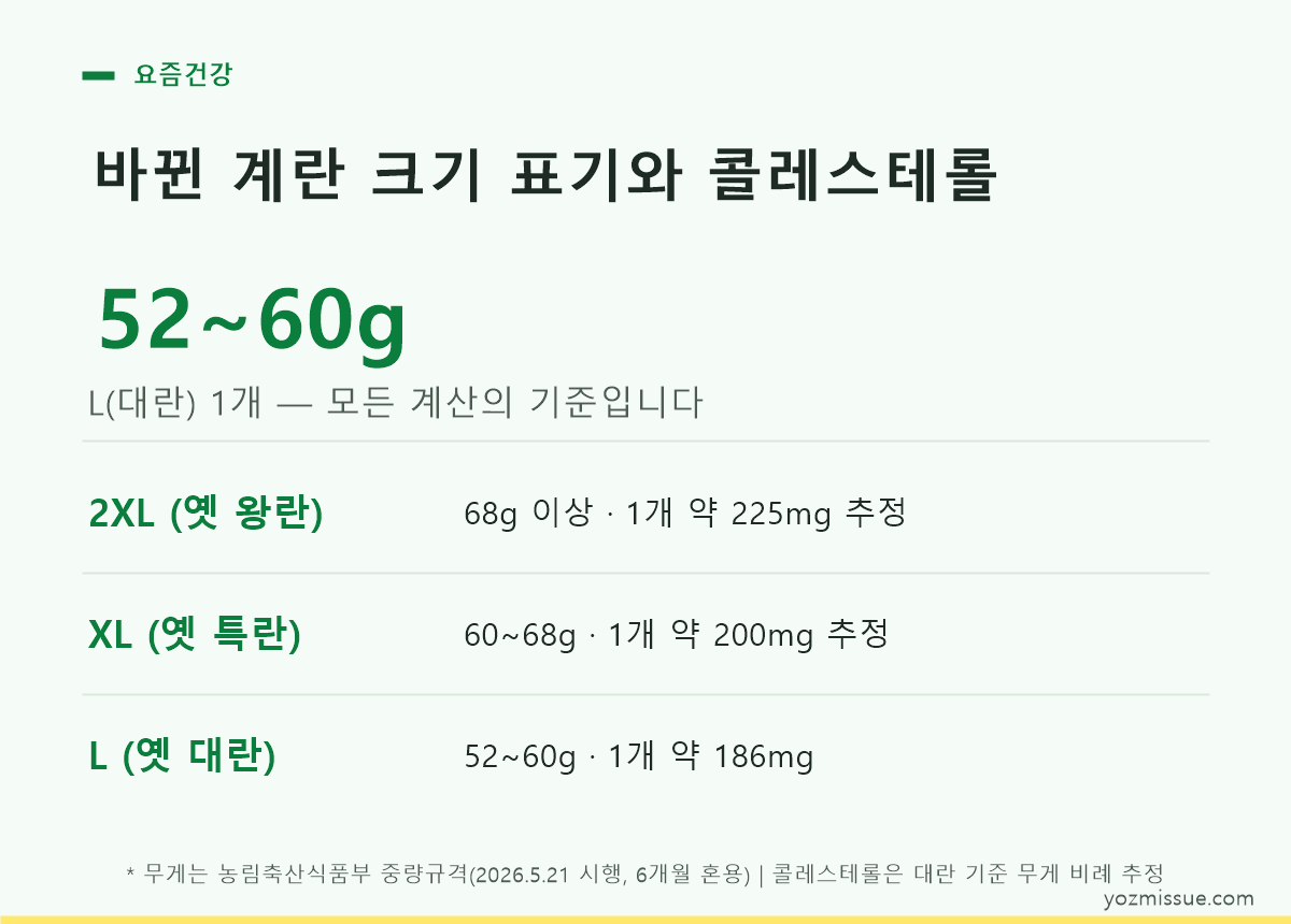 바뀐 계란 크기 표기와 콜레스테롤 — L(대란) 52~60g이 모든 계산의 기준
