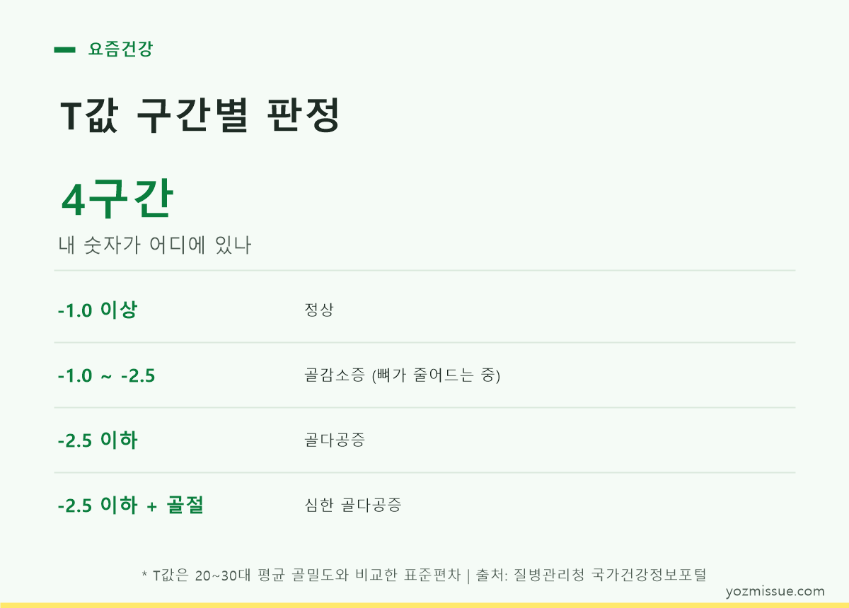T값 구간별 판정 — 4구간, 내 숫자가 어디에 있나