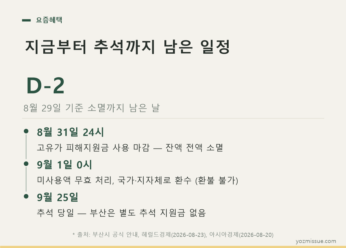 지금부터 추석까지 남은 일정 — 8월 31일 24시 소멸, 9월 25일 추석은 별도 지원금 없음