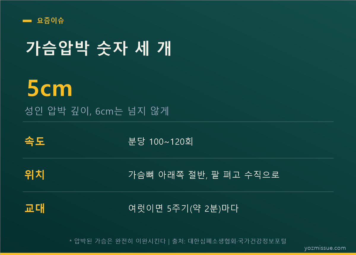 가슴압박 숫자 세 개 — 깊이 5cm, 분당 100~120회, 2분마다 교대