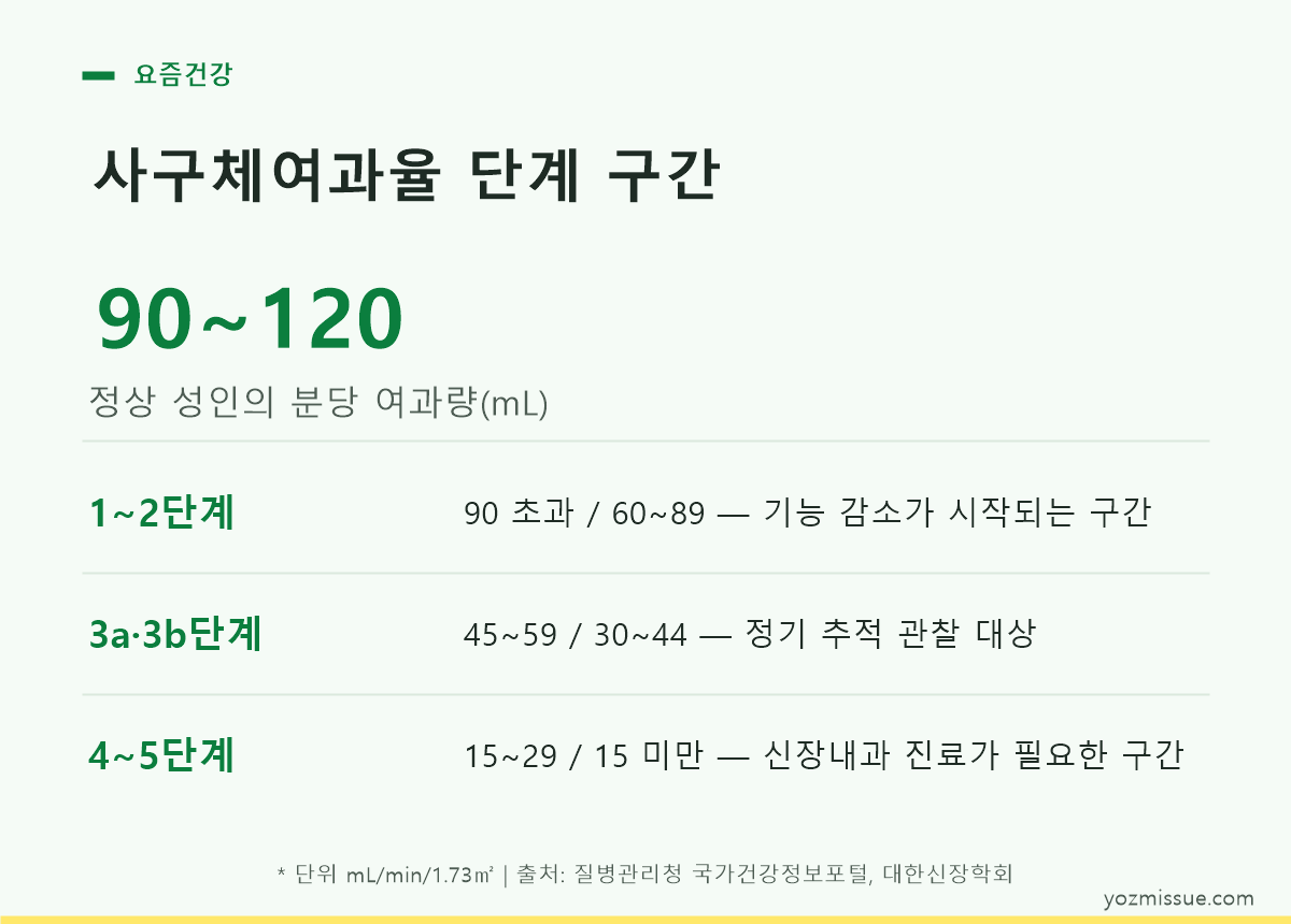 사구체여과율 단계 구간 — 정상 성인은 분당 90~120mL