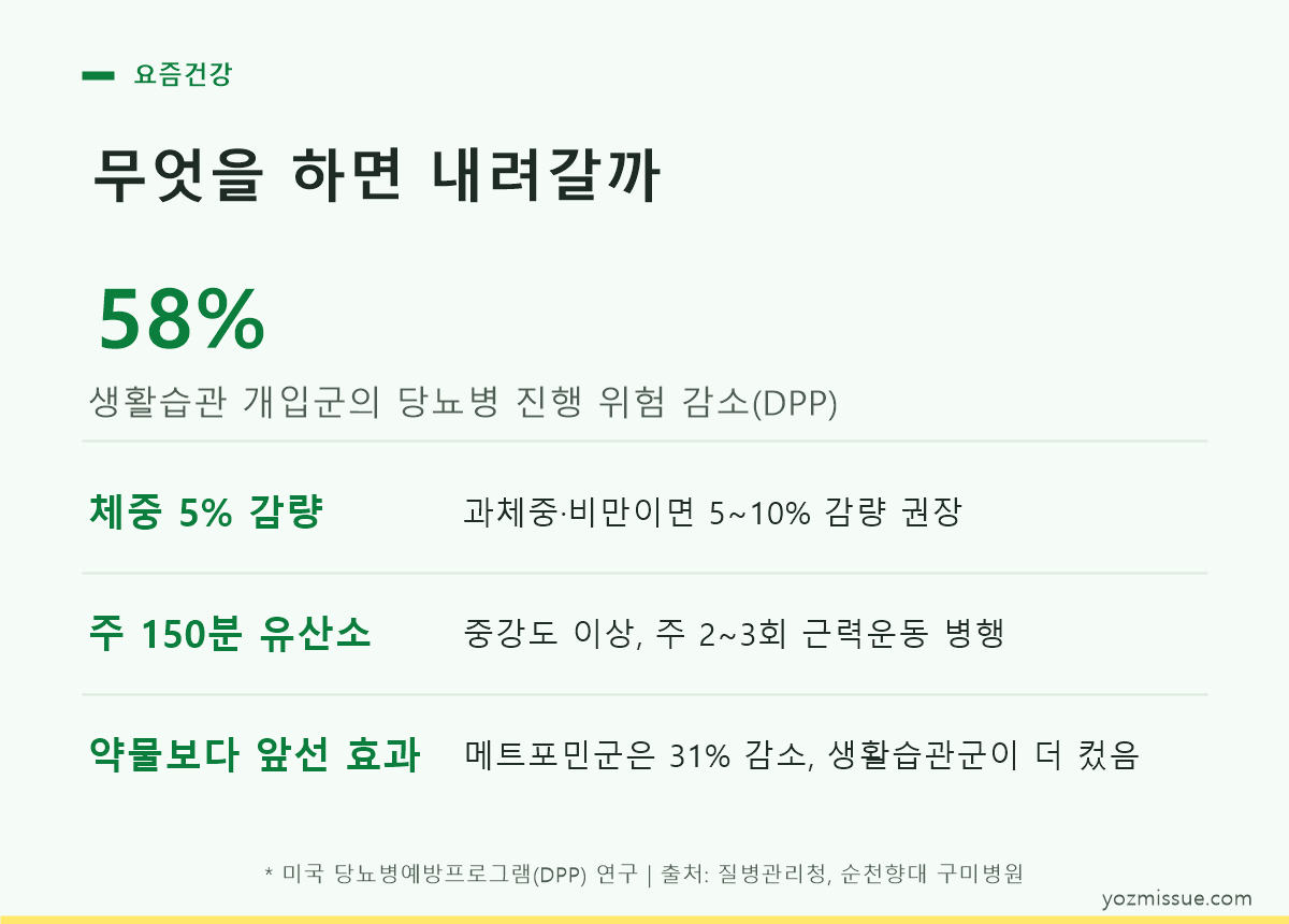 무엇을 하면 내려갈까 — 생활습관 개입군의 당뇨병 진행 위험 58% 감소(DPP)