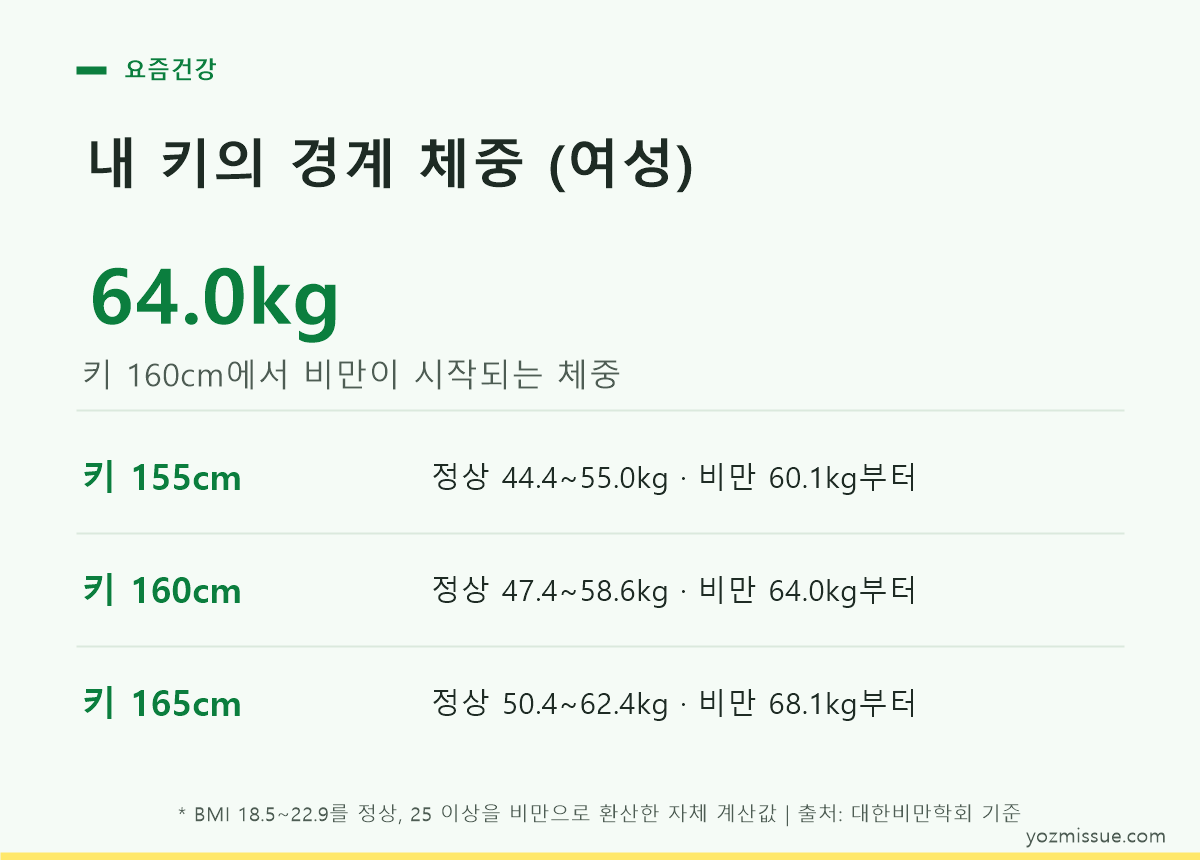내 키의 경계 체중 여성 — 160cm에서 비만이 시작되는 체중은 64.0kg