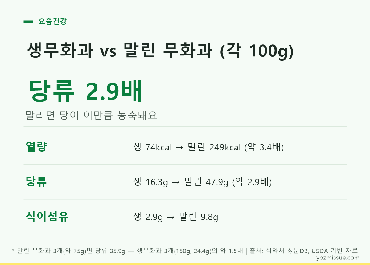 생무화과 vs 말린 무화과 각 100g 비교 — 말리면 당류가 2.9배로 농축