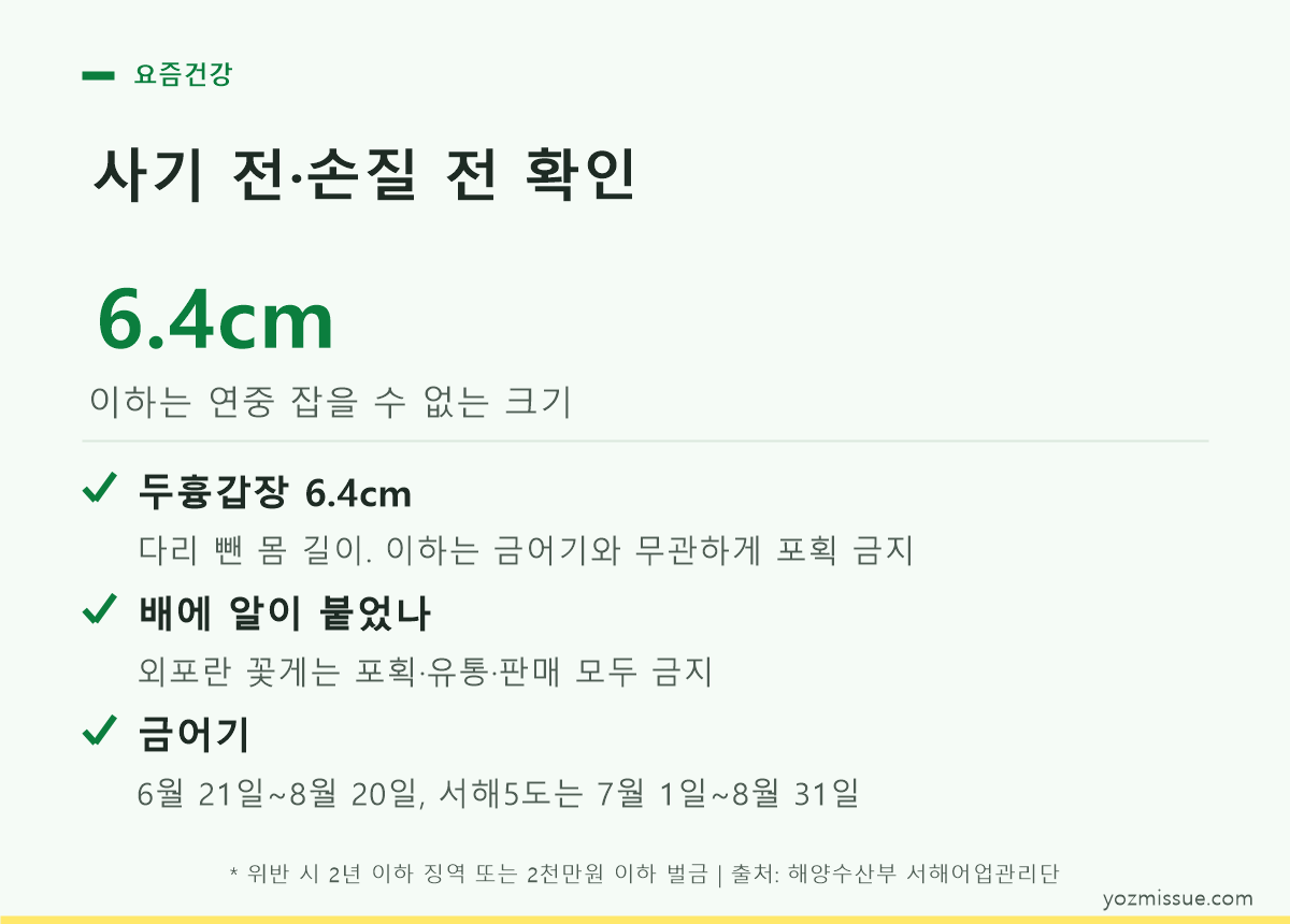 사기 전 확인 체크리스트 — 두흉갑장 6.4cm와 금어기 기간