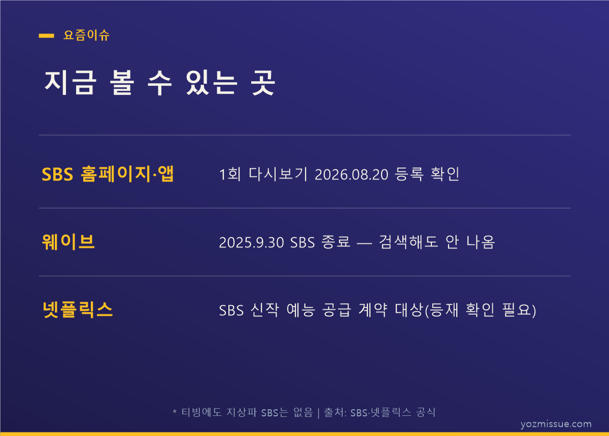 지금 볼 수 있는 곳 — SBS 홈페이지·앱에서 1회 다시보기 등록 확인, 웨이브·티빙은 지상파 SBS 제외
