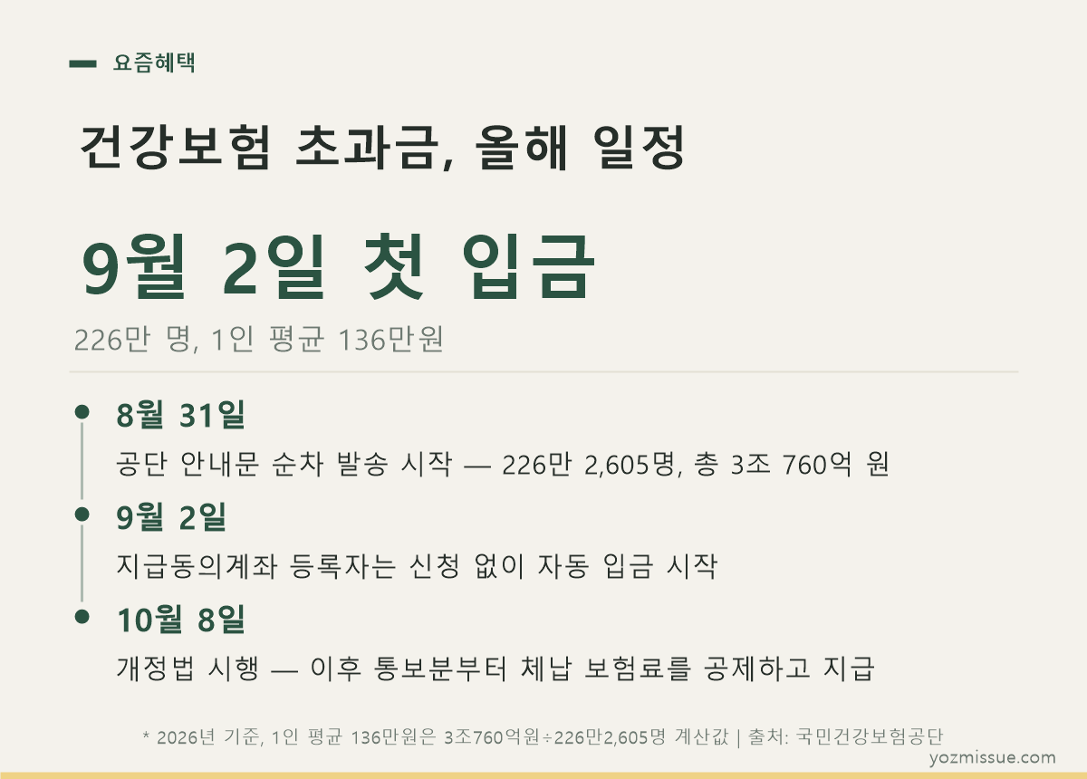건강보험 초과금 올해 일정 — 8월 31일 안내문, 9월 2일 첫 입금, 10월 8일 개정법 시행