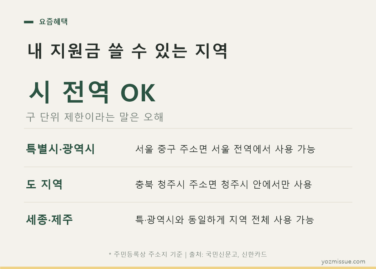내 지원금 쓸 수 있는 지역 — 특·광역시는 시 전역, 도 지역은 시·군 단위