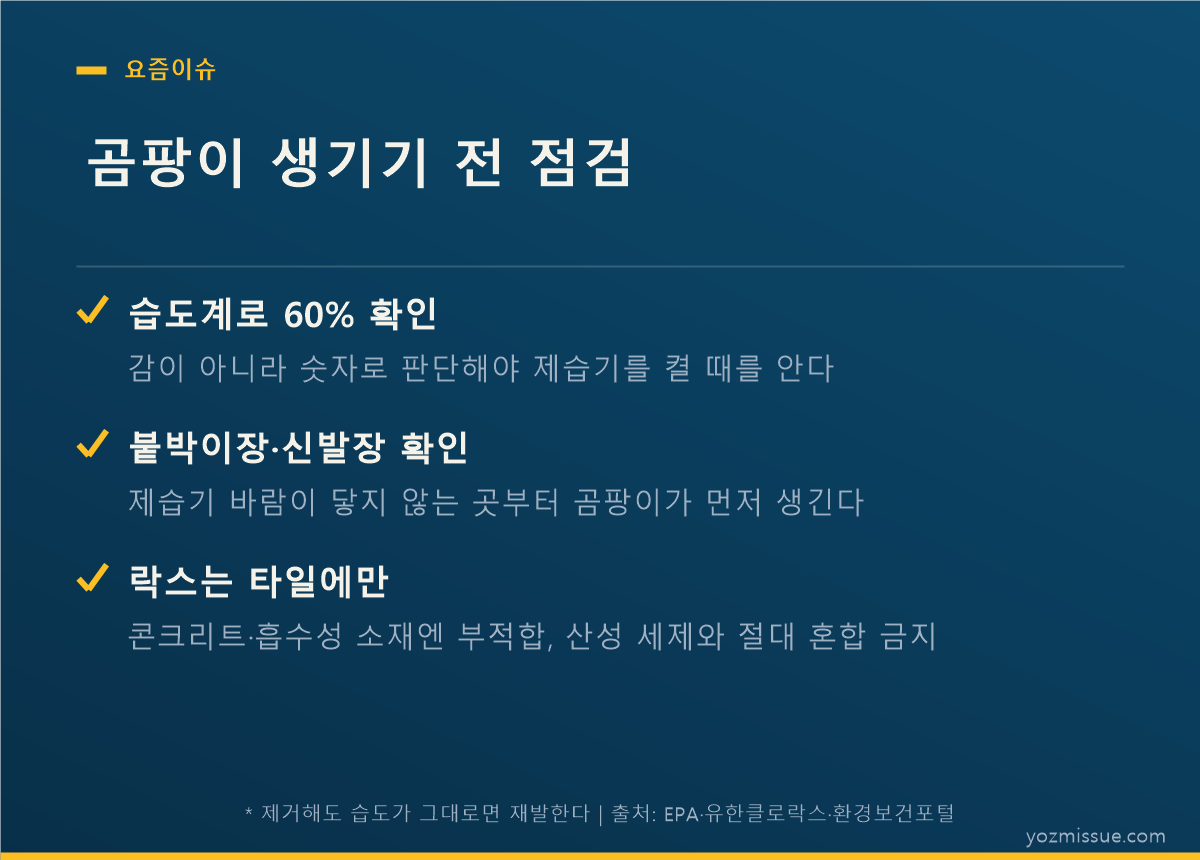 곰팡이 생기기 전 점검 — 습도계 60% 확인, 붙박이장 점검, 락스는 타일에만