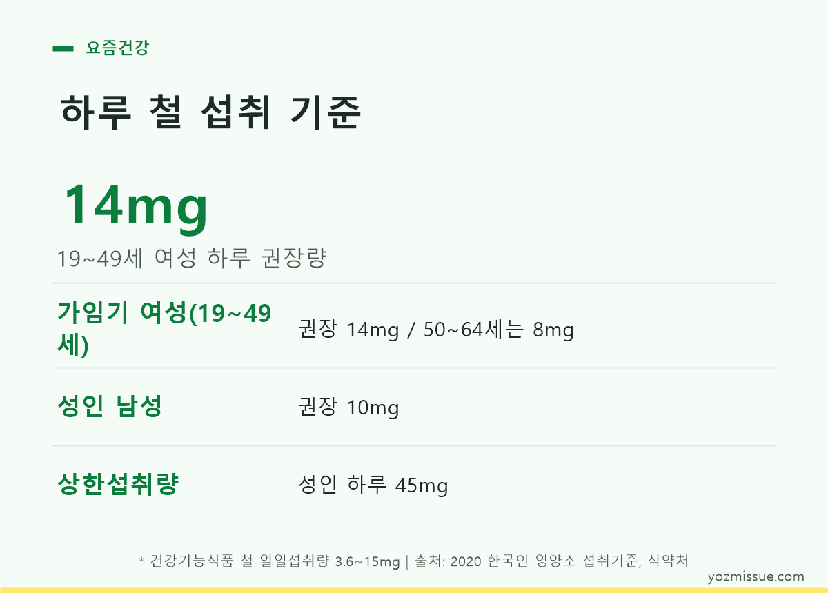 하루 철 섭취 기준 — 19~49세 여성 권장 14mg, 상한 45mg
