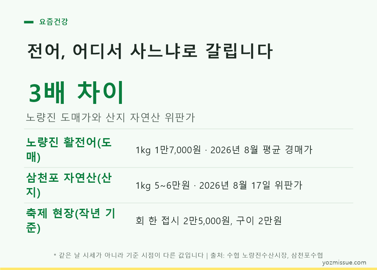 전어, 어디서 사느냐로 갈립니다 — 노량진 도매 1kg 1만7천원 vs 삼천포 산지 자연산 kg 5~6만원