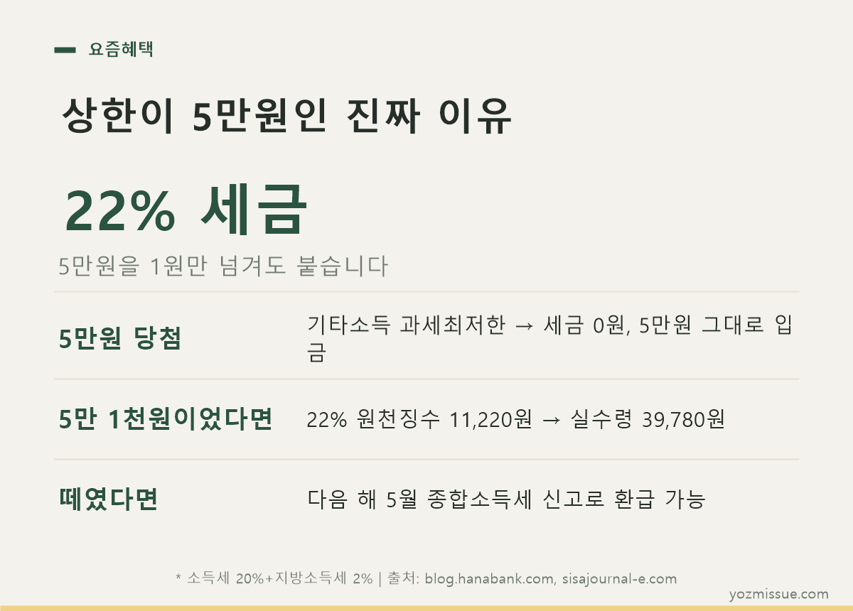 상한이 5만원인 진짜 이유 — 5만 1천원이면 11,220원이 떼여 실수령 39,780원