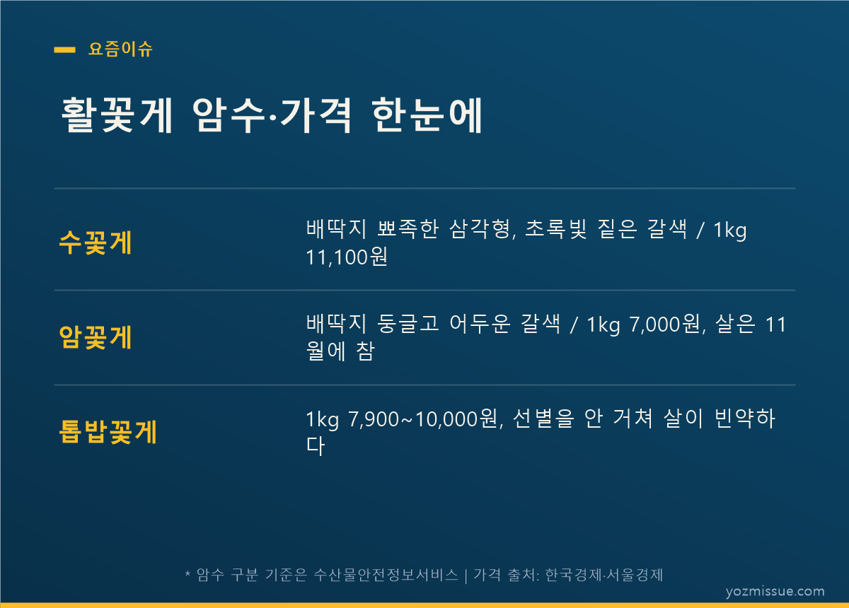 활꽃게 암수·가격 한눈에 — 수꽃게 배딱지는 뾰족한 삼각형, 암꽃게는 둥글다