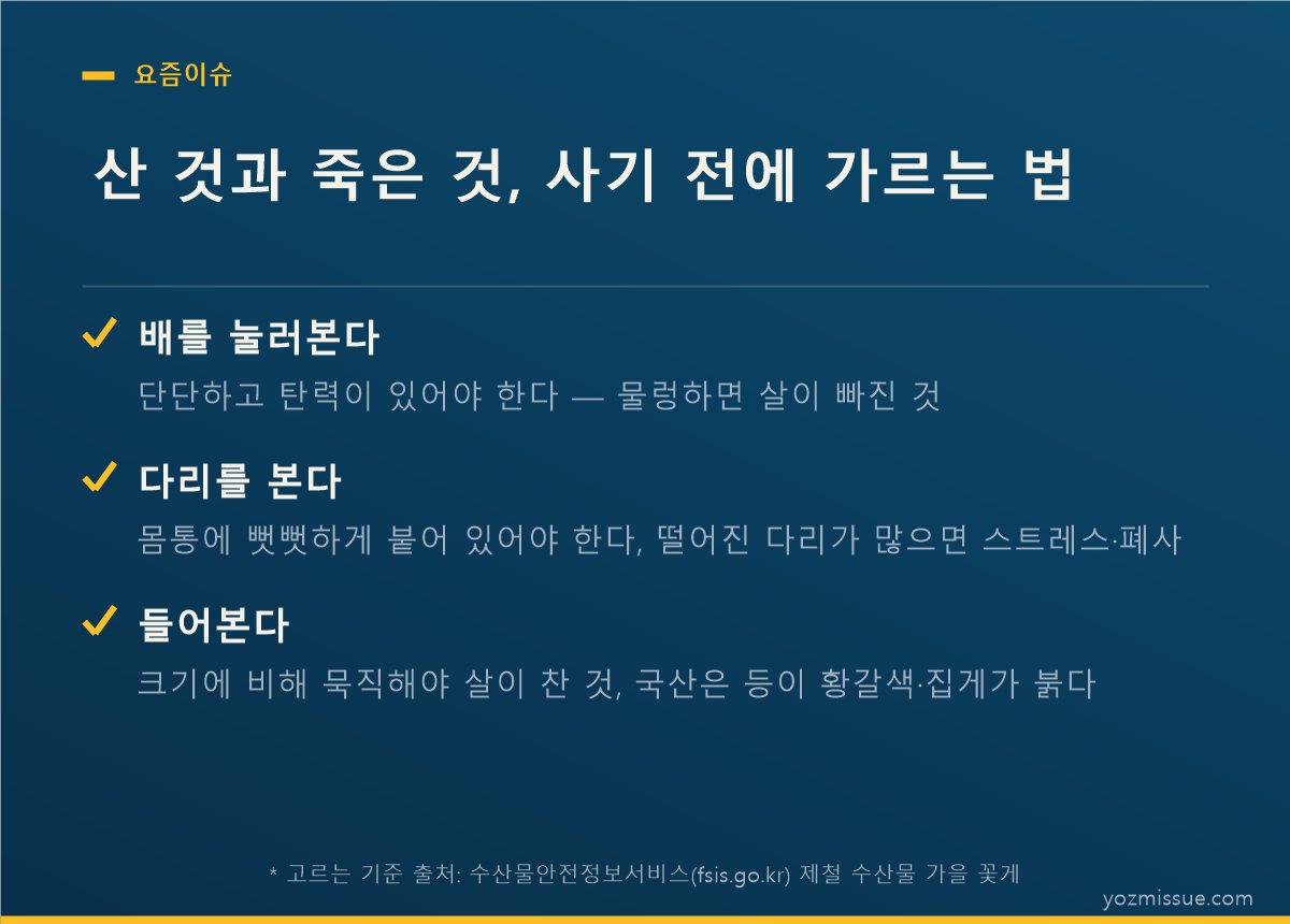 산 것과 죽은 것, 사기 전에 가르는 법 — 배·다리·무게 3가지 확인