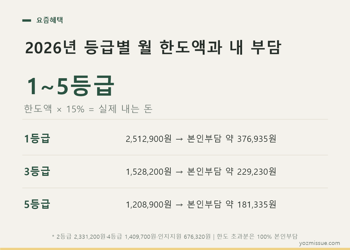 2026년 등급별 월 한도액과 내 부담 — 한도액 × 15% = 실제 내는 돈
