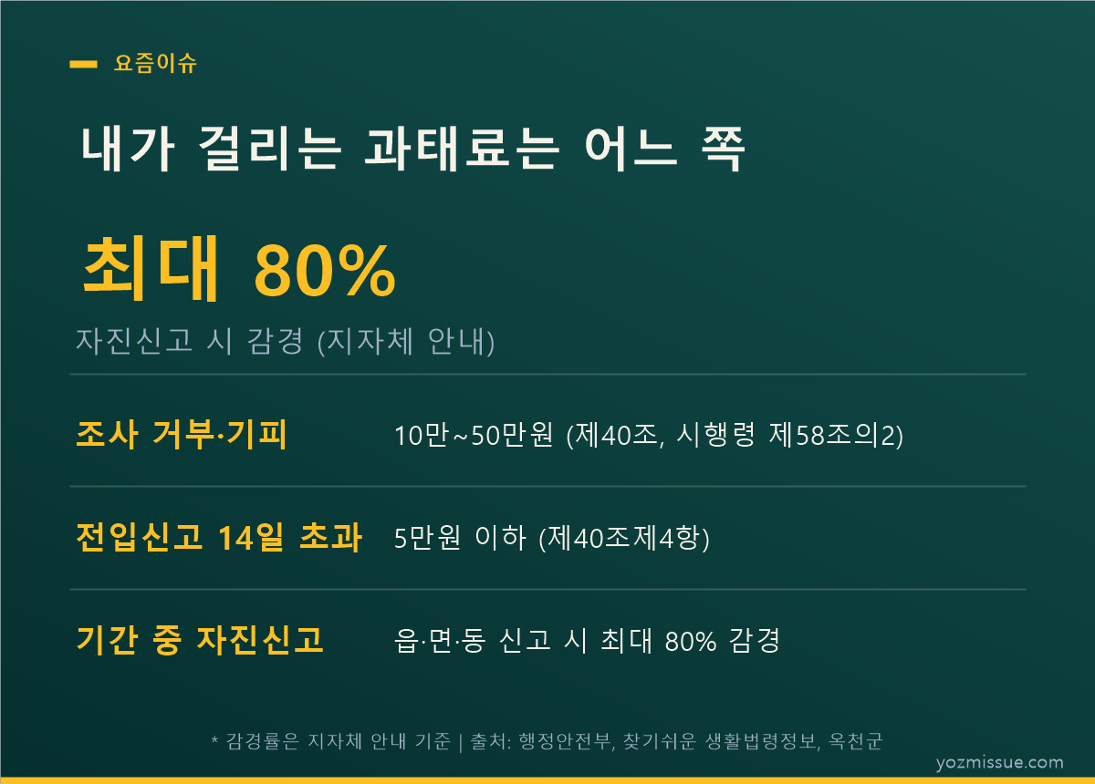 내가 걸리는 과태료는 어느 쪽 — 거부·기피 10만~50만원, 전입신고 지연 5만원 이하