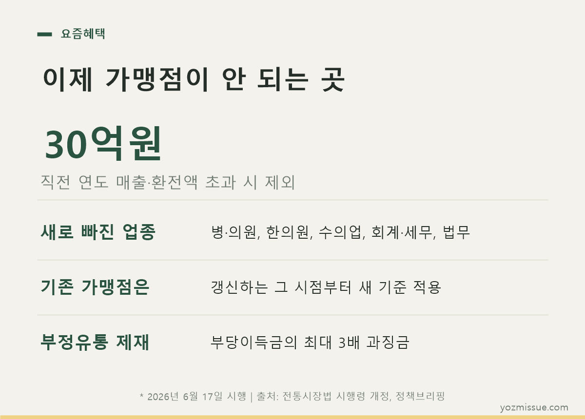 이제 가맹점이 안 되는 곳 — 직전 연도 매출·환전액 30억원 초과 시 제외