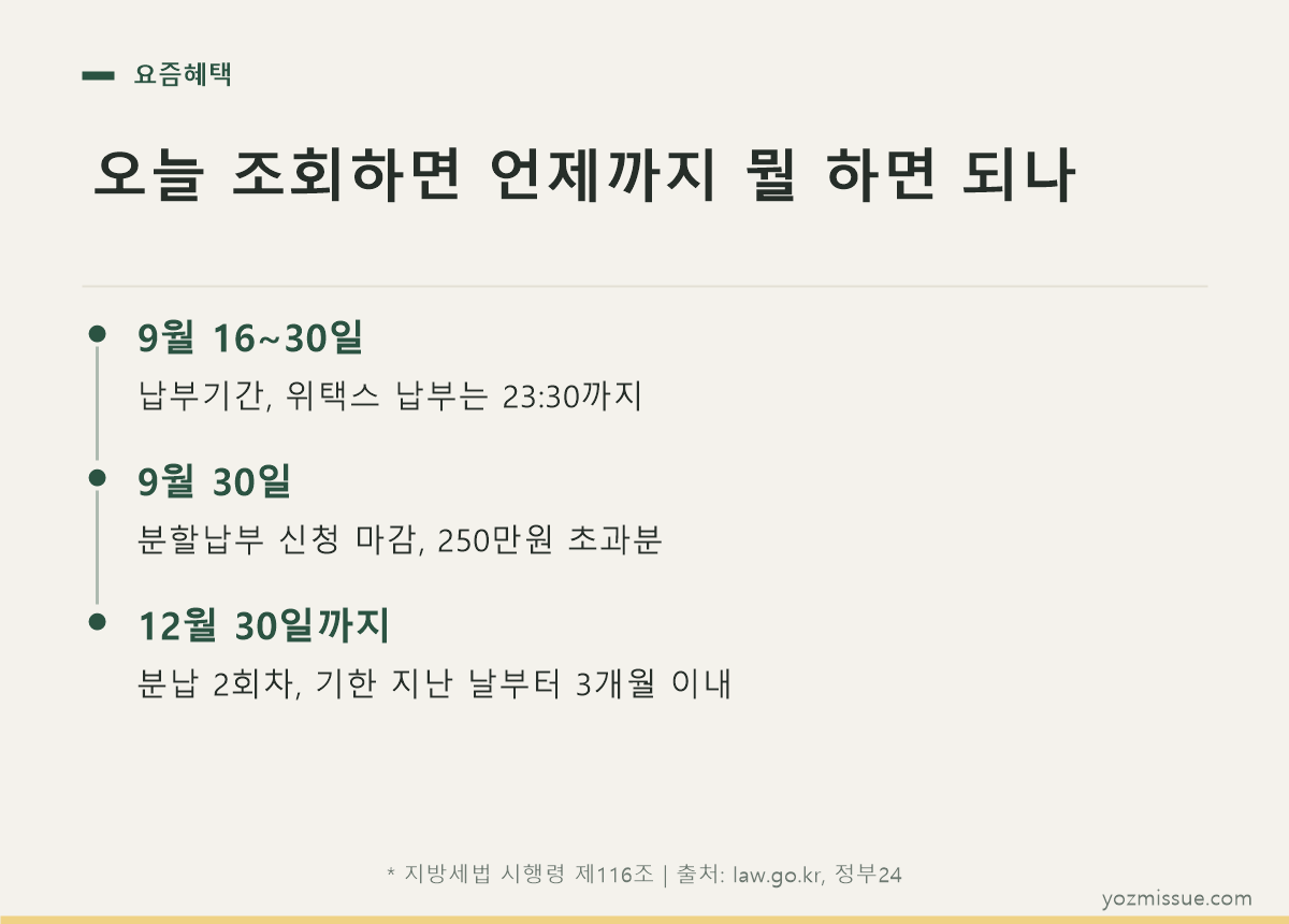 오늘 조회하면 언제까지 뭘 하면 되나 — 9월 16~30일 납부, 30일 분납 신청 마감, 12월 30일 2회차