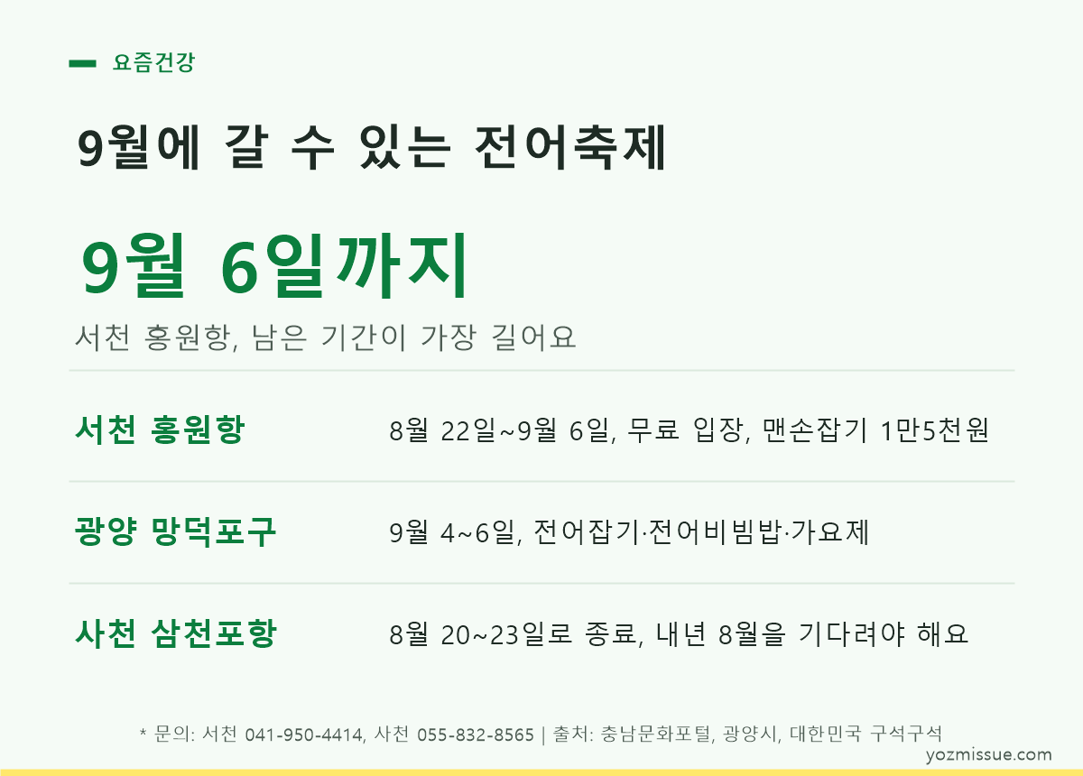 9월에 갈 수 있는 전어축제 비교표 — 서천 홍원항 9월 6일까지, 광양 9월 4~6일