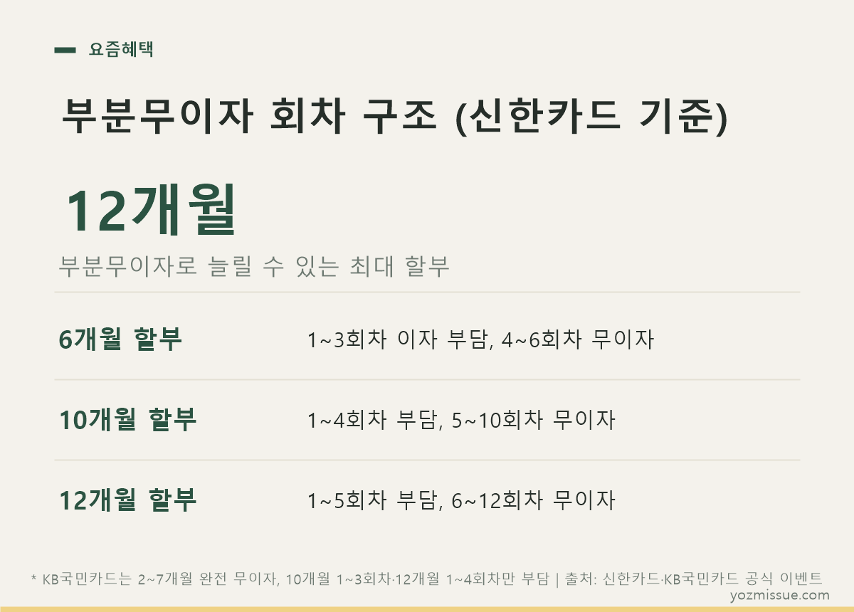 카드사별 부분무이자 회차 구조 비교 - 본인 부담 회차와 면제 회차