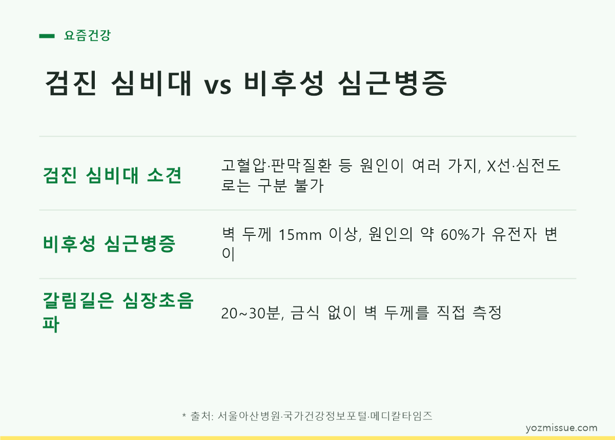검진 심비대 vs 비후성 심근병증 — 갈림길은 심장초음파, 20~30분 금식 없이 벽 두께 직접 측정