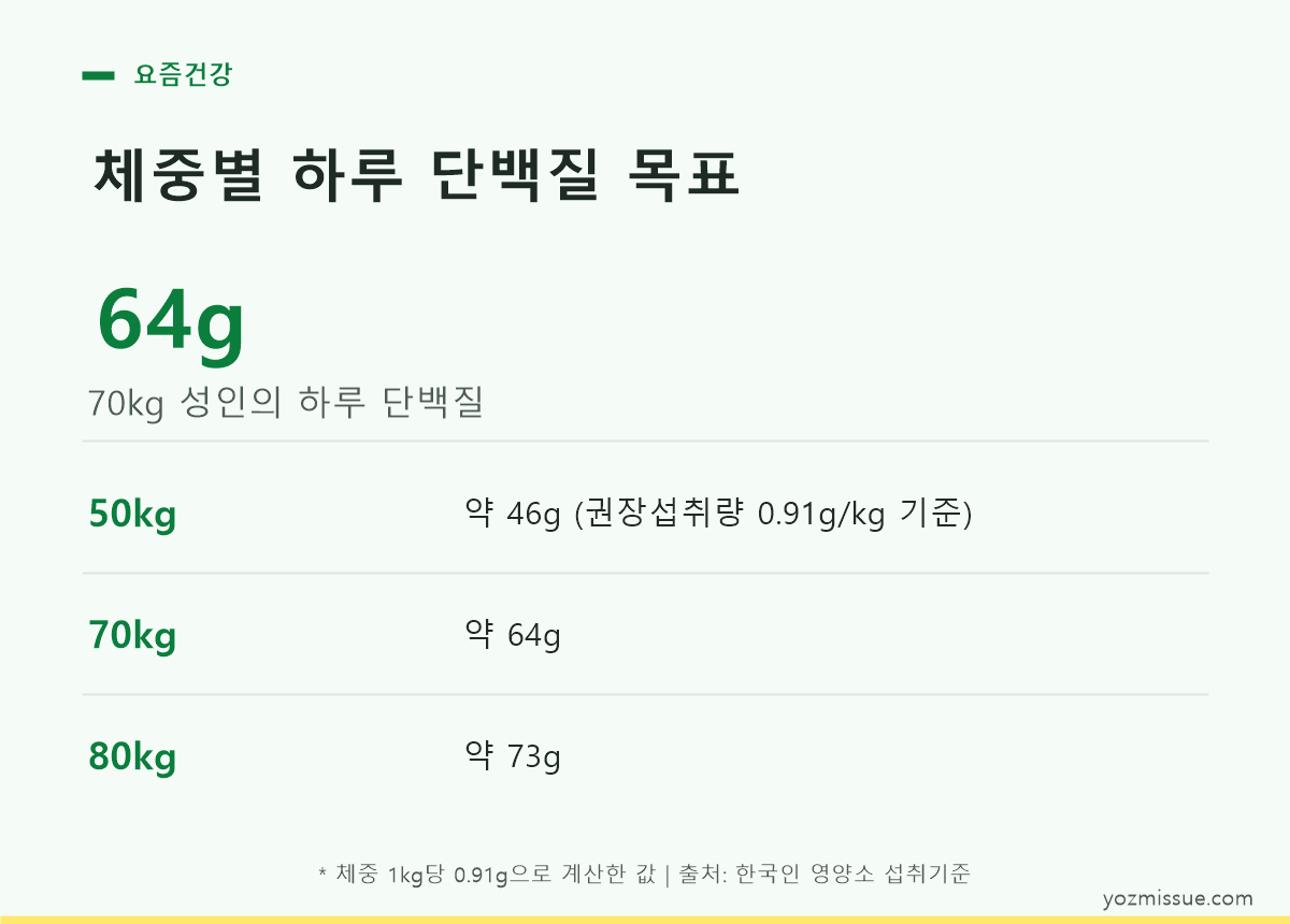 성별·연령별 단백질 권장섭취량 표를 정리한 카드 이미지