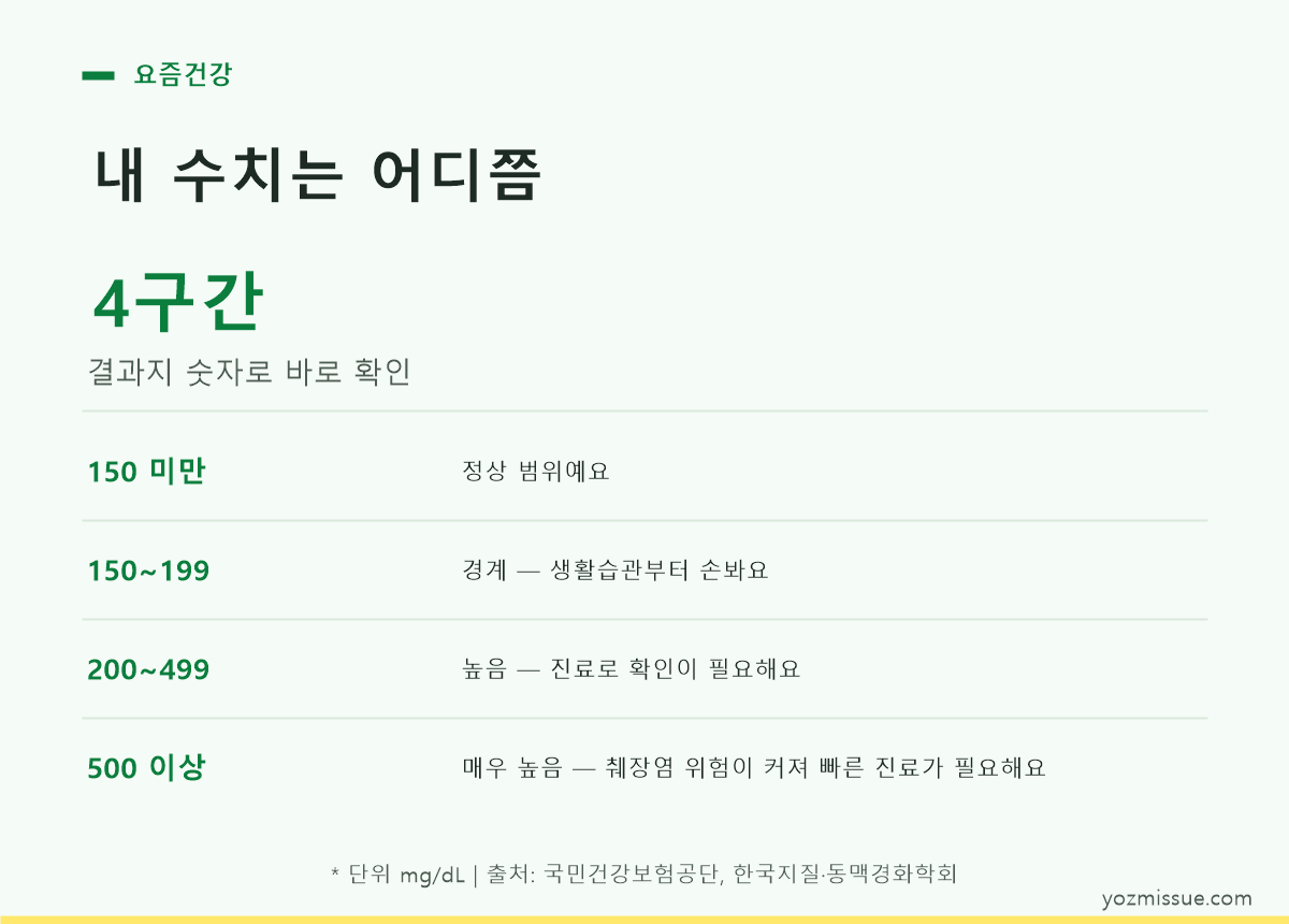 중성지방 150 199 200 500 네 구간별 대응 방법을 정리한 표 카드