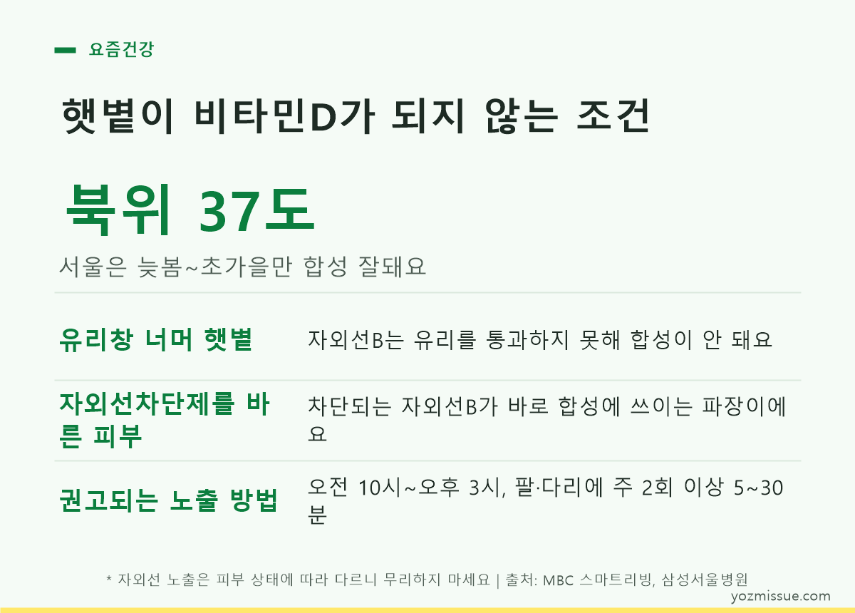 달걀·연어·청어 등 비타민D 급원 식품의 60g 기준 함량을 비교한 안내 카드